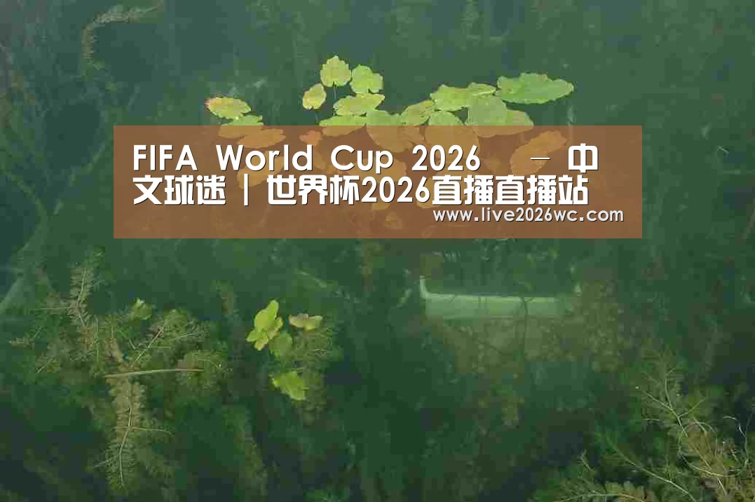 案例展示三(图1)