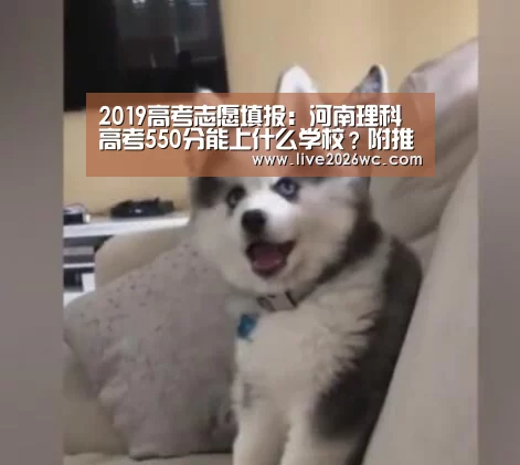 2019高考志愿填报:河南理科 高考550分能上什么学校?附推荐-球队资料(图3) 球队资料