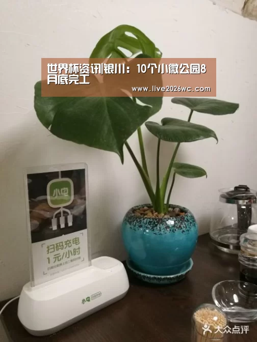 世界杯资讯|银川:10个小微公园8月底完工(图1) 赛程时间